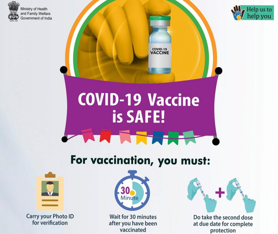 forest and sky view, aurora borealis in the sky